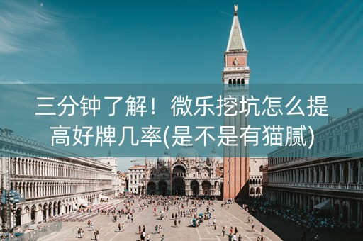 三分钟了解！微乐挖坑怎么提高好牌几率(是不是有猫腻)