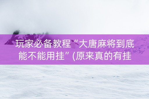 玩家必备教程“大唐麻将到底能不能用挂”(原来真的有挂)-知乎