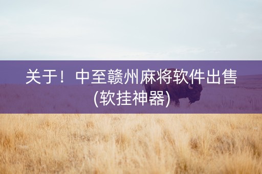 关于！中至赣州麻将软件出售(软挂神器)