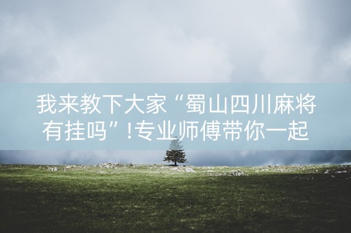 我来教下大家“蜀山四川麻将有挂吗”!专业师傅带你一起了解（详细教程）-知乎
