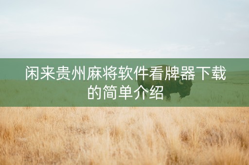 闲来贵州麻将软件看牌器下载的简单介绍
