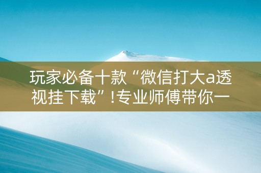 玩家必备十款“微信打大a透视挂下载”!专业师傅带你一起了解（详细教程）-知乎