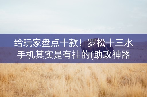 给玩家盘点十款！罗松十三水手机其实是有挂的(助攻神器怎么才会赢)