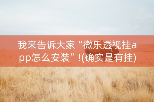 我来告诉大家“微乐透视挂app怎么安装”!(确实是有挂)-知乎