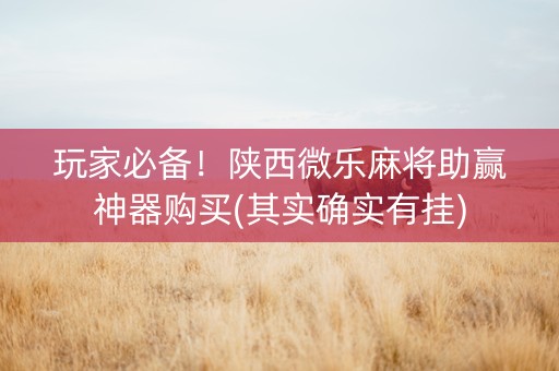 玩家必备！陕西微乐麻将助赢神器购买(其实确实有挂)