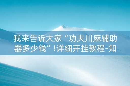 我来告诉大家“功夫川麻辅助器多少钱”!详细开挂教程-知乎
