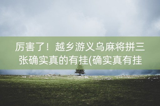 厉害了！越乡游义乌麻将拼三张确实真的有挂(确实真有挂)