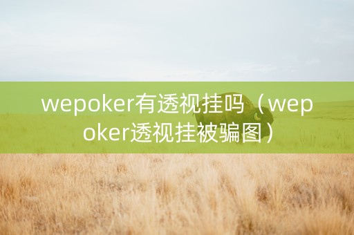 wepoker有透视挂吗（wepoker透视挂被骗图）