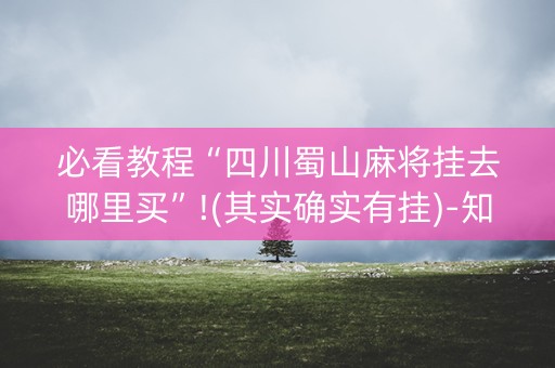 必看教程“四川蜀山麻将挂去哪里买”!(其实确实有挂)-知乎