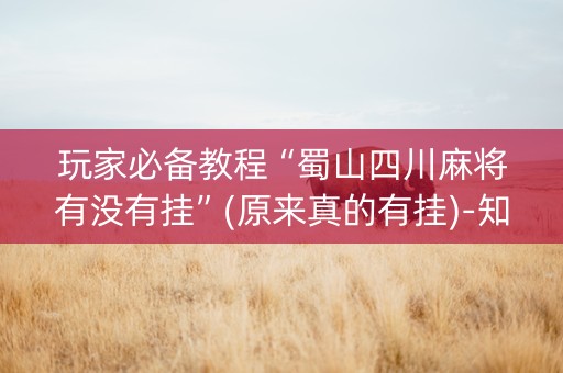 玩家必备教程“蜀山四川麻将有没有挂”(原来真的有挂)-知乎