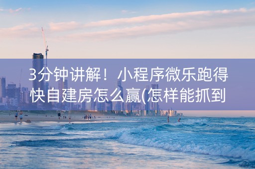 3分钟讲解！小程序微乐跑得快自建房怎么赢(怎样能抓到好牌)