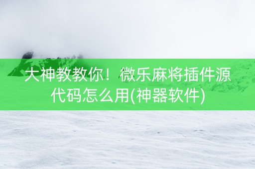 大神教教你！微乐麻将插件源代码怎么用(神器软件)