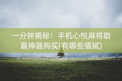 一分钟揭秘！手机心悦麻将助赢神器购买(有哪些猫腻)