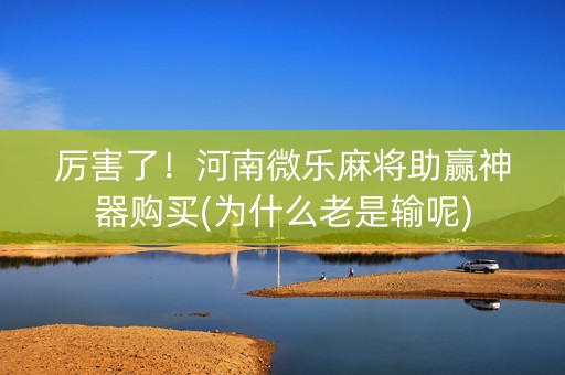厉害了！河南微乐麻将助赢神器购买(为什么老是输呢)
