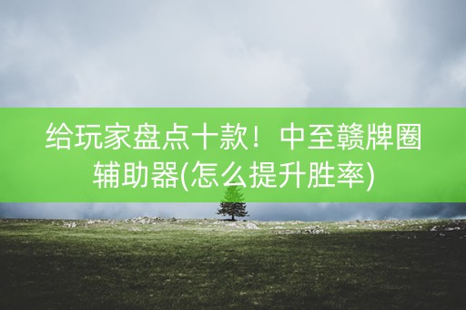 给玩家盘点十款！中至赣牌圈辅助器(怎么提升胜率)