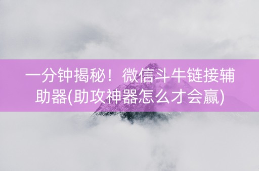 一分钟揭秘！微信斗牛链接辅助器(助攻神器怎么才会赢)