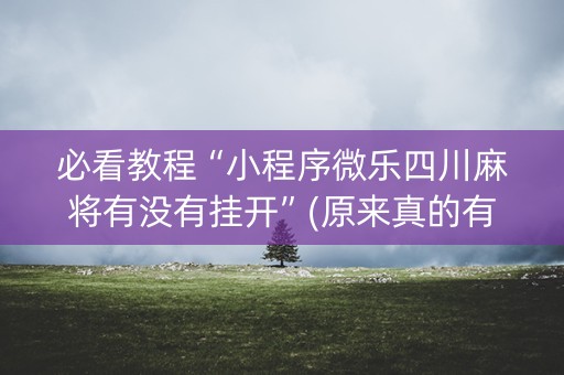 必看教程“小程序微乐四川麻将有没有挂开”(原来真的有挂)-知乎