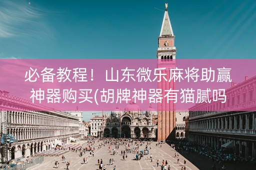 必备教程！山东微乐麻将助赢神器购买(胡牌神器有猫腻吗)