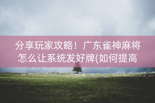 分享玩家攻略！广东雀神麻将怎么让系统发好牌(如何提高胜率)