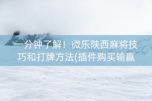 一分钟了解！微乐陕西麻将技巧和打牌方法(插件购买输赢规律)