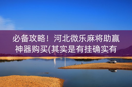 必备攻略！河北微乐麻将助赢神器购买(其实是有挂确实有挂)