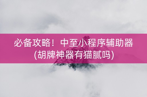 必备攻略！中至小程序辅助器(胡牌神器有猫腻吗)