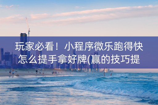 玩家必看！小程序微乐跑得快怎么提手拿好牌(赢的技巧提高胜率)