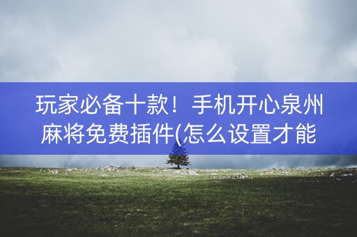 玩家必备十款！手机开心泉州麻将免费插件(怎么设置才能赢)