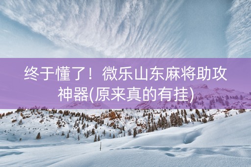 终于懂了！微乐山东麻将助攻神器(原来真的有挂)