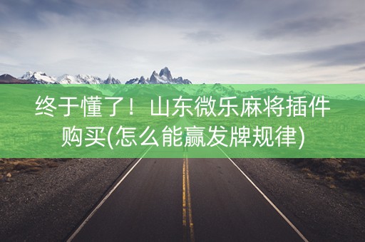 终于懂了！山东微乐麻将插件购买(怎么能赢发牌规律)