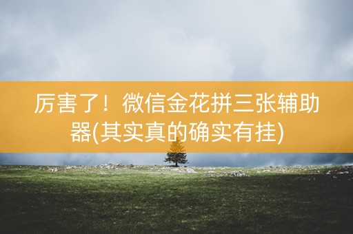 厉害了！微信金花拼三张辅助器(其实真的确实有挂)