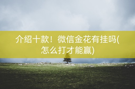 介绍十款！微信金花有挂吗(怎么打才能赢)