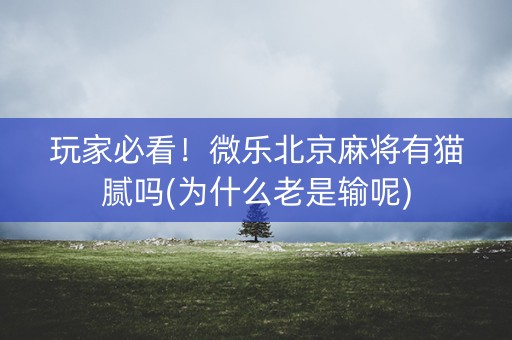 玩家必看！微乐北京麻将有猫腻吗(为什么老是输呢)