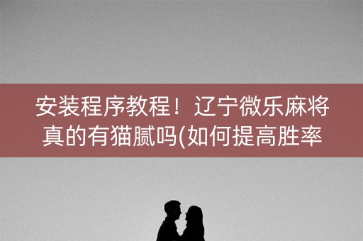 安装程序教程！辽宁微乐麻将真的有猫腻吗(如何提高胜率)