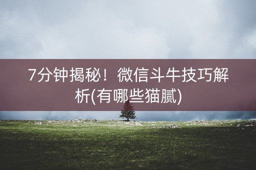 7分钟揭秘！微信斗牛技巧解析(有哪些猫腻)