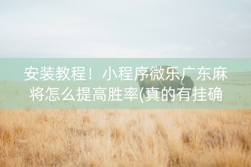 安装教程！小程序微乐广东麻将怎么提高胜率(真的有挂确实有挂)
