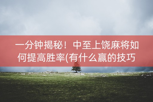 一分钟揭秘！中至上饶麻将如何提高胜率(有什么赢的技巧)