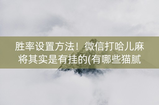 胜率设置方法！微信打哈儿麻将其实是有挂的(有哪些猫腻)