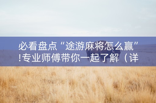必看盘点“途游麻将怎么赢”!专业师傅带你一起了解（详细教程）-知乎
