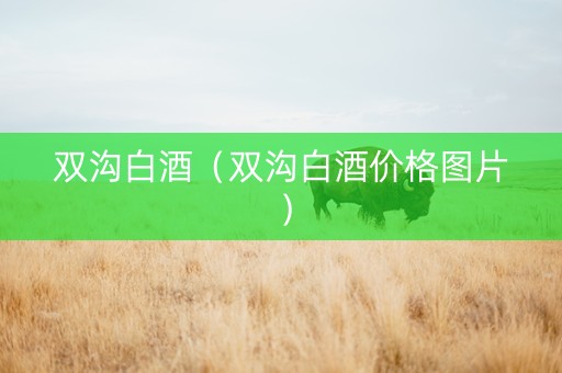 双沟白酒（双沟白酒价格图片）