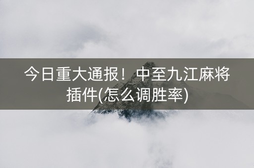 今日重大通报！中至九江麻将插件(怎么调胜率)
