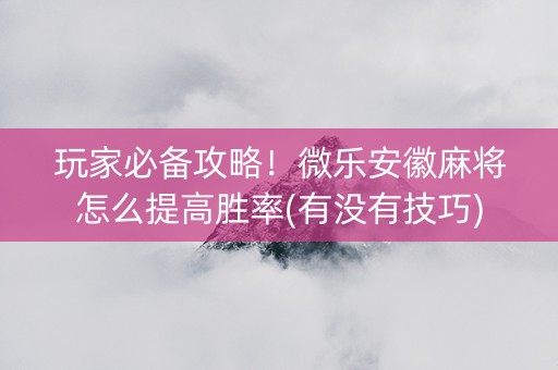 玩家必备攻略！微乐安徽麻将怎么提高胜率(有没有技巧)