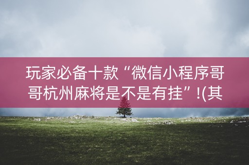 玩家必备十款“微信小程序哥哥杭州麻将是不是有挂”!(其实确实有挂)-知乎