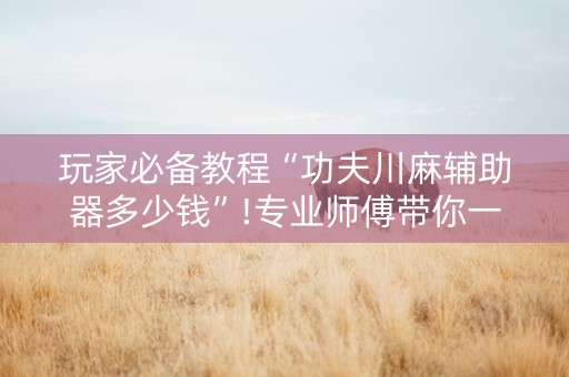 玩家必备教程“功夫川麻辅助器多少钱”!专业师傅带你一起了解（详细教程）-知乎