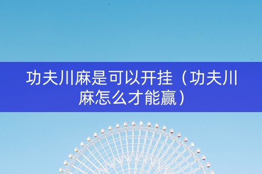 功夫川麻是可以开挂（功夫川麻怎么才能赢）