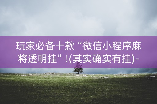 玩家必备十款“微信小程序麻将透明挂”!(其实确实有挂)-知乎