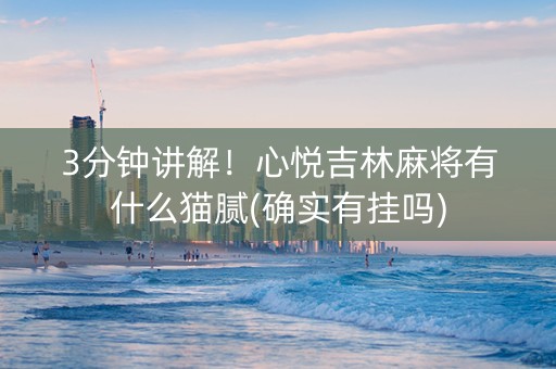 3分钟讲解！心悦吉林麻将有什么猫腻(确实有挂吗)