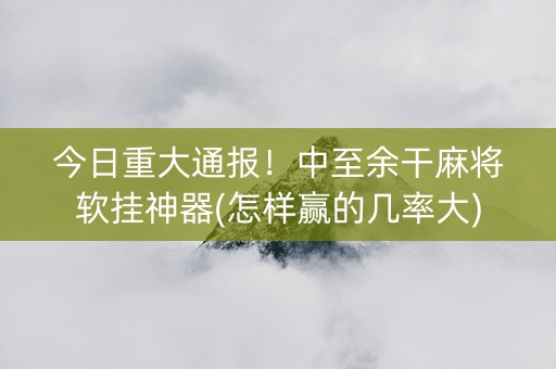 今日重大通报！中至余干麻将软挂神器(怎样赢的几率大)