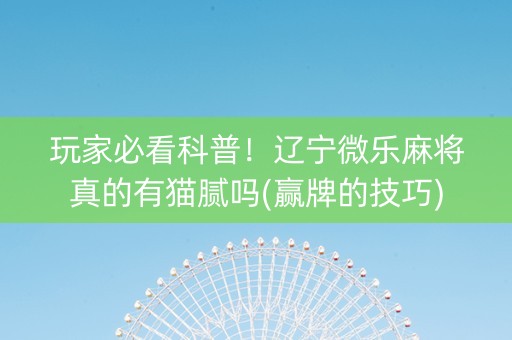 玩家必看科普！辽宁微乐麻将真的有猫腻吗(赢牌的技巧)