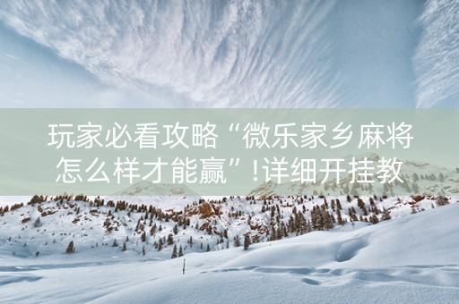 玩家必看攻略“微乐家乡麻将怎么样才能赢”!详细开挂教程-知乎